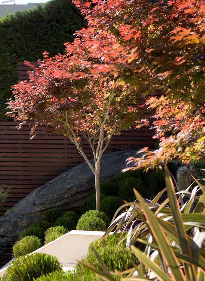 Trees in front of rock and timber fence